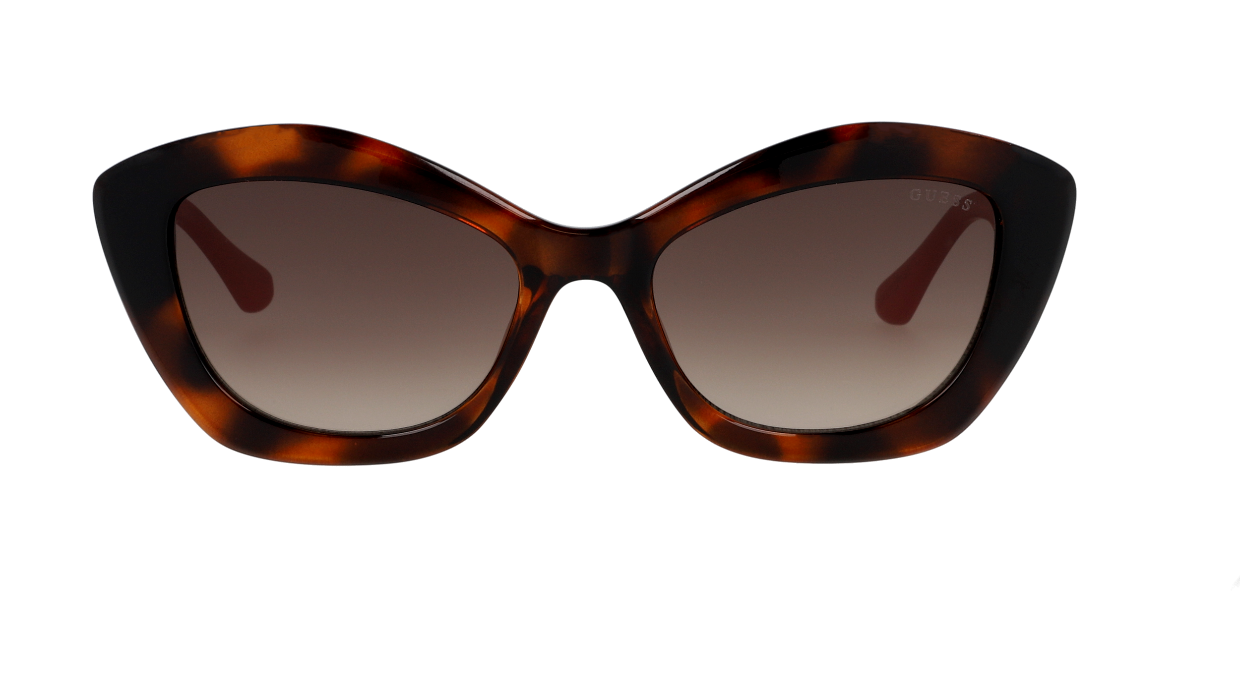 Lunettes de soleil Guess GU7868 Ecaille
