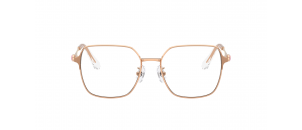 Lunettes de vue Swarovski - SK1020D - Rose A