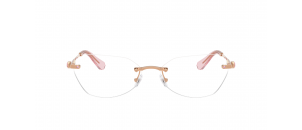Lunettes de vue Swarovski - SK1031 - Rose A