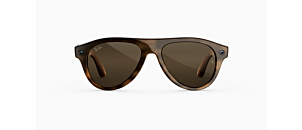 Lunettes de vue Ray-Ban Meta Gen 3 - Aviator - RW4016 - Ecaille B