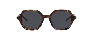 Lunettes de vue Rip Curl - FSA076 - Brun B
