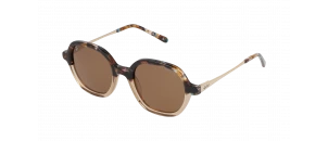 Lunettes de vue Rip Curl - GSA034 - Ecaille B