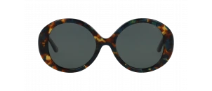 Lunettes de vue Rip Curl - GSA035 - Ecaille B