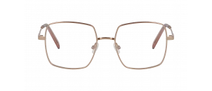 Drew. S - DSF2317 - Rose A