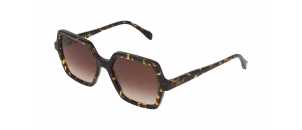 Lunettes de vue Drew. S - DSF2631 - Ecaille B