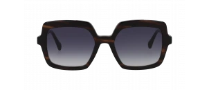 Lunettes de vue Drew. S - DSF2633 - Brun B