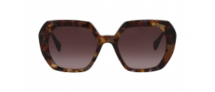 Lunettes de vue Drew. S - DSF2635 - Ecaille B