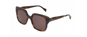 Lunettes de vue Drew. S - DSF2638 - Ecaille B