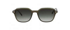 Lunettes de soleil French Retro - DARIO - Kaki B