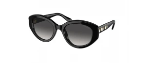 Lunettes de soleil Swarovski - SK6005 - Noir B