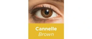 Lentilles de contact AIR OPTIX COLORS 2L Cannelle