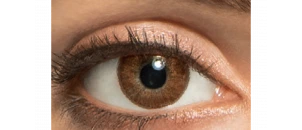 Lentilles de contact Freshlook Colorblends Cannelle - 2 lentilles