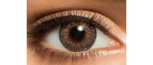 Lentilles de contact FreshLook 1 Day Gris