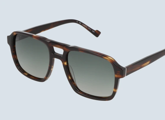 Lunettes de soleil homme Charlie Chill